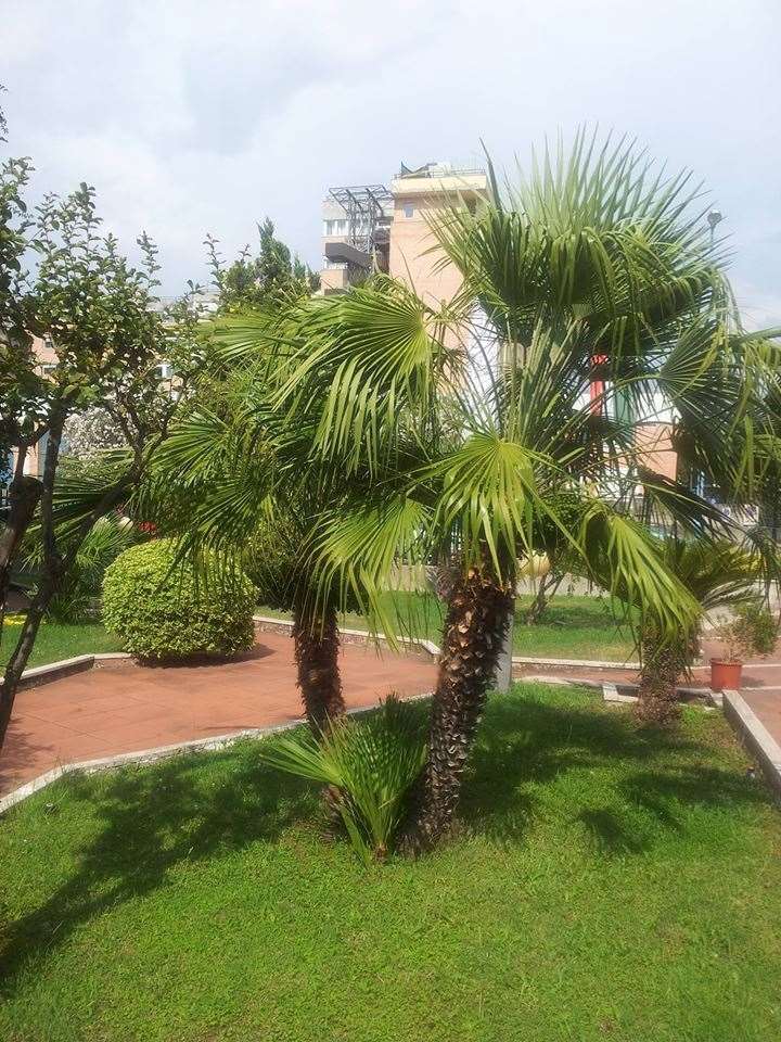 Hotel De La Ville Central Latina Facilités photo